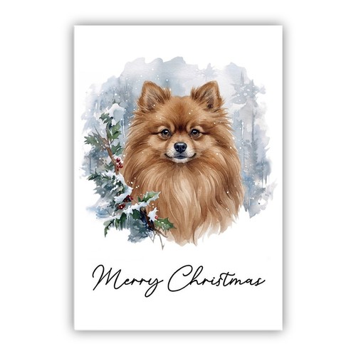 Pomeranian brown dog - pomeranian,
