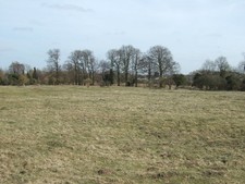 Photo A2 Grazing land