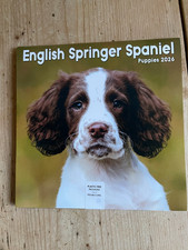 English Springer Spaniel