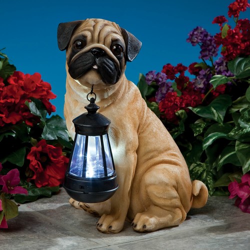 Adorable fawn pug puppy - adorable, dog