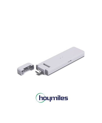 Hoymiles dtu wlite - dtu-wlite-s, data