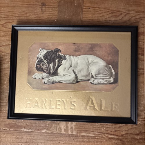 Hanley ale beer - ale,
