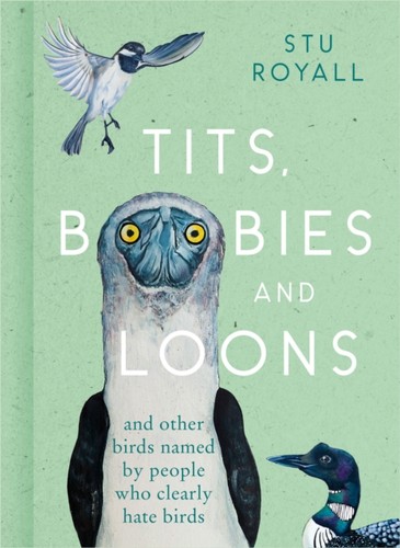 Tits boobies and loons stu - boobies,