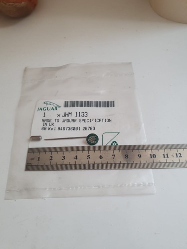 Jaguar growler stick pin