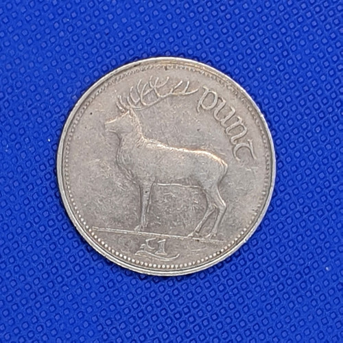 Irish eire one punt coin - irish,