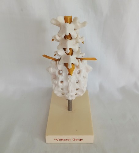 Vintage voltarol geigy lumbar - vintage,