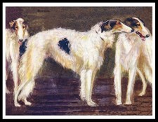 BORZOI DOGS DOG ART PRINT