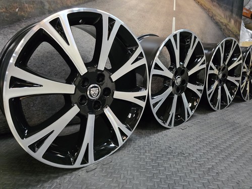 Refurbished genuine jaguar - refurbished, 20"