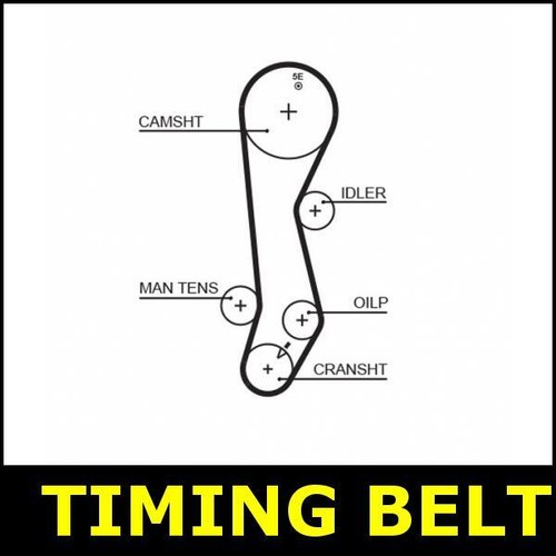 Timing belt cam - belt, fits