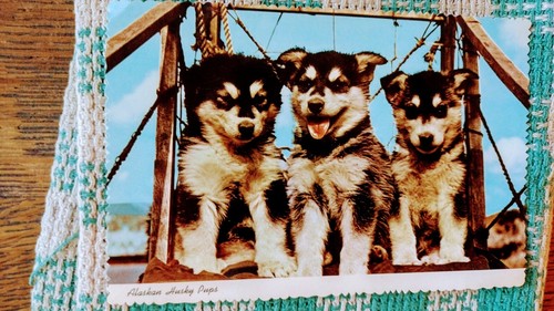 Beautiful post card - beautiful, alaskan