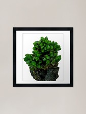 Green Pyromorphite Mineral |