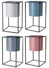 Rammento 30cm Tall Raised