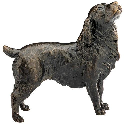 Richard cooper limited edition - richard,