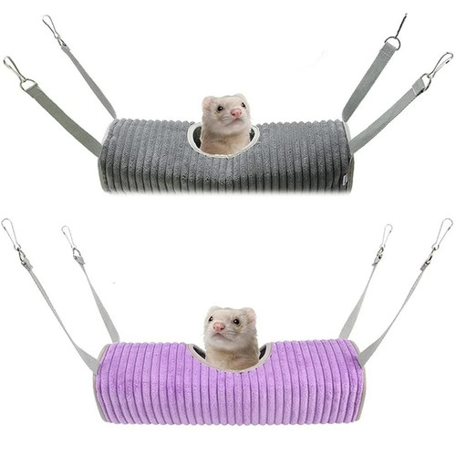 Small animal guinea pig - small,