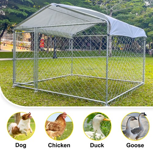 Large outdoor dog kennel - outdoor,