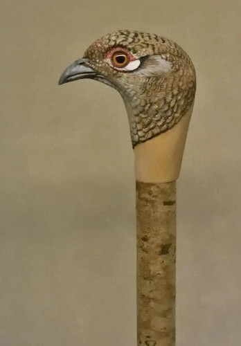 Wooden walking stick hand
