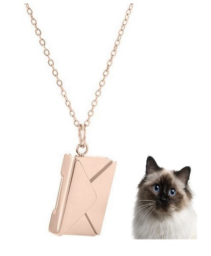 Birman cat pet family rose - pet,
