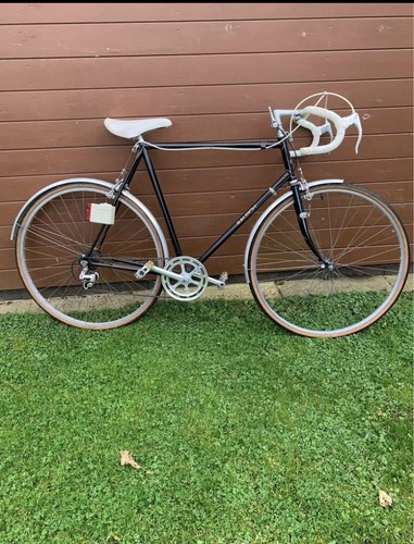 Raleigh racing bike - raleigh,