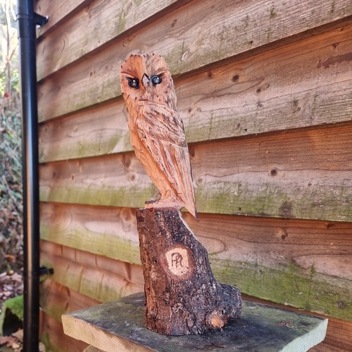 Chainsaw carved owl - chainsaw,