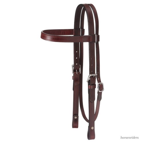 Draft horse western - horse,