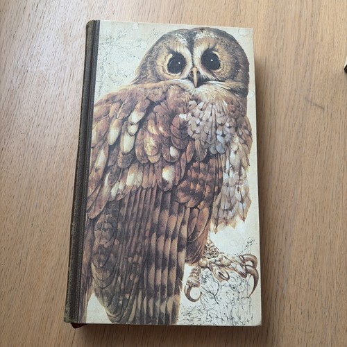 Book british birds readers - british,