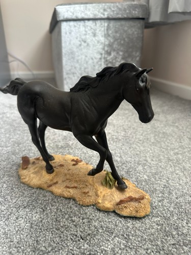 Black royal doulton - black,