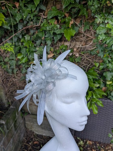 Silver grey feather - silver,
