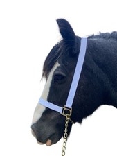 WHITE SHOW HALTER WEBBING BRASS WITH OR WITHOUT LEAD REIN *FREE POSTAGE*