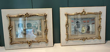 Set of 2 framed vintage French prints, natural history topic. In great condition