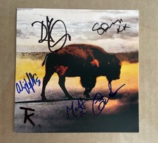 Robert Plant And Saving Grace