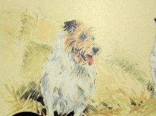 Jack russell terriers print - russell,