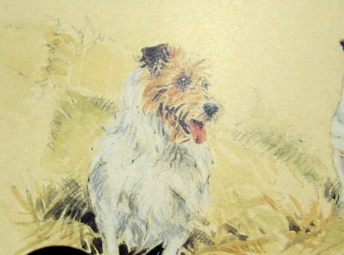 Jack russell terriers print - jack,