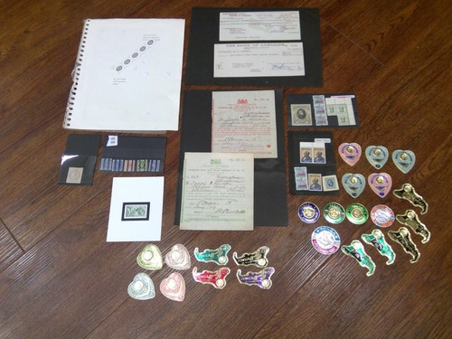 Cinderella collection la - collection,