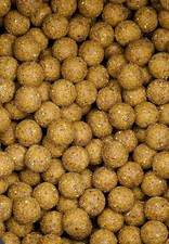 5kg shelf life boilies - shelf,