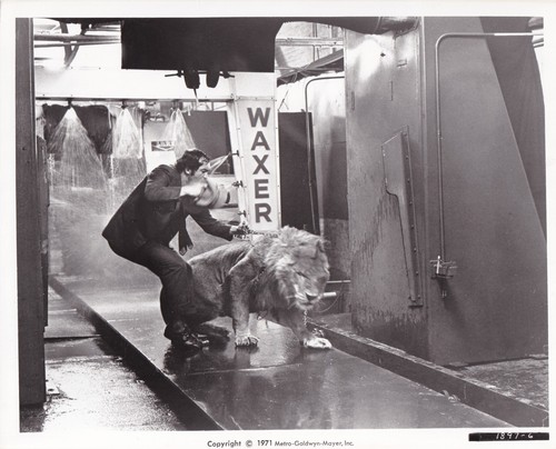 Original press photo - photo, the