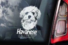 Havanese Dog Sticker, Car