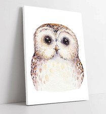 CUTE WATERCOLOUR BABY OWL
