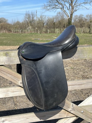 Ideal working hunter - ideal,