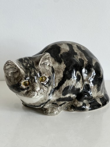 Winstanley cat tabby sitting - cat,