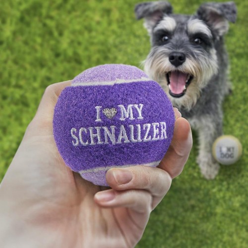Schnauzer dog ball fetch toy - ball,