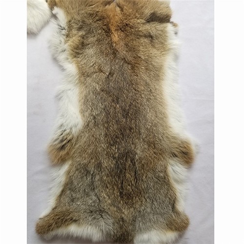 1pcs real rabbit skin - skin, pelt