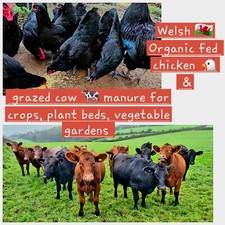 20Kg pure Grazed Cows & Chicken Manure Compost Plants Flowers Vegetables Muck 