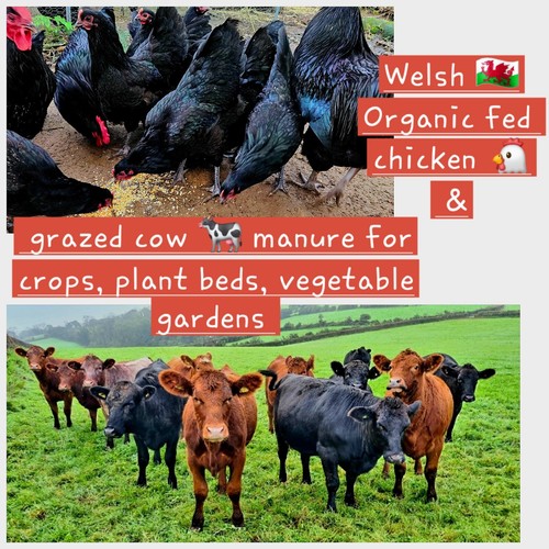 10kg farm grazed - 10kg, cows