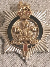 Rare Prince of Wales Feathers