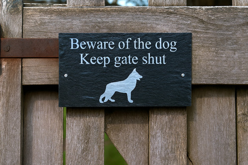 Beware the dog - of,