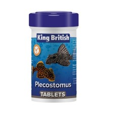 King British Plecostomus