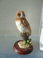 Border Fine Arts. Tawny Owl on