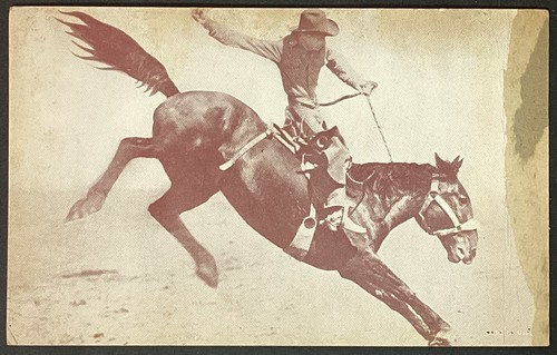 Cowboy riding bucking bronco - cowboy,