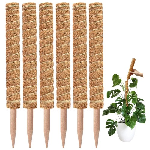 Moss pole extendable - pole,