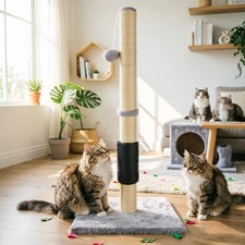 Cat Scratching Post for Cats